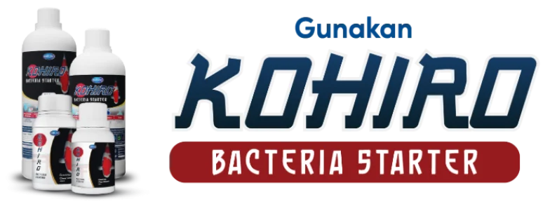 Solusi Kohiro